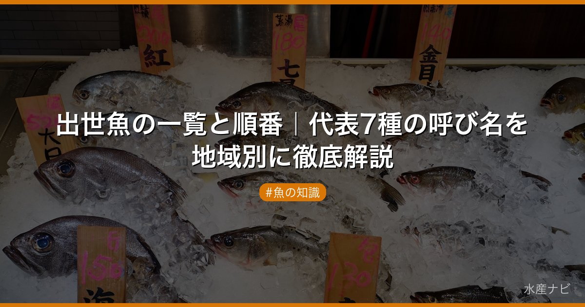 出世魚の一覧と順番｜代表7種の呼び名を地域別に徹底解説