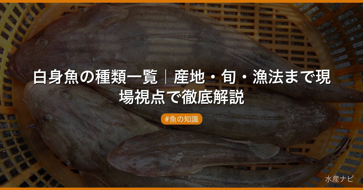 白身魚の種類一覧｜産地・旬・漁法まで現場視点で徹底解説