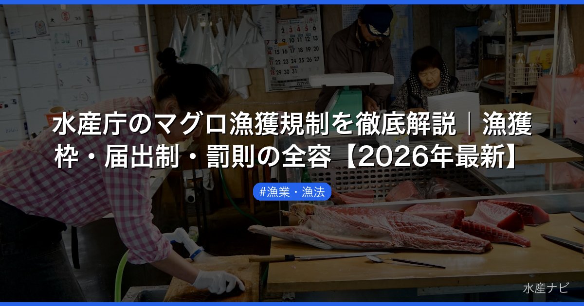 水産庁のマグロ漁獲規制を徹底解説｜漁獲枠・届出制・罰則の全容【2026年最新】