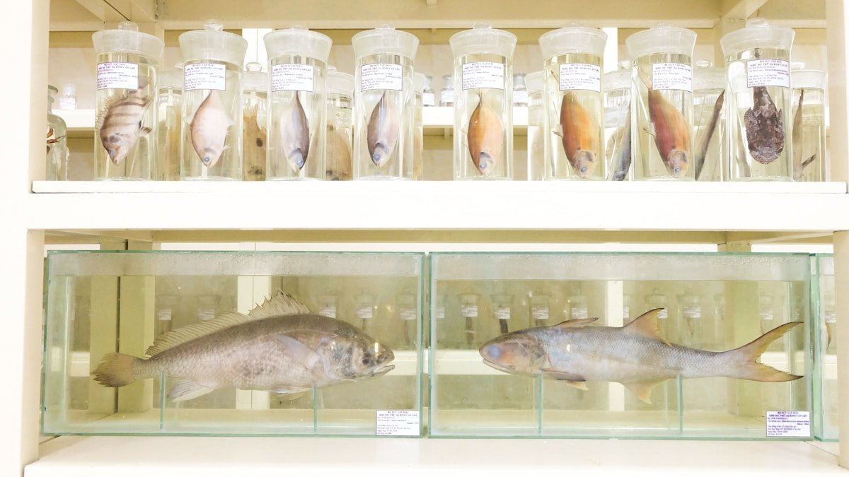 2026 07 13 fisheries research education agency guide h2 01
