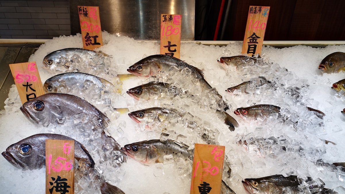 unknown aji shun guide h2 00