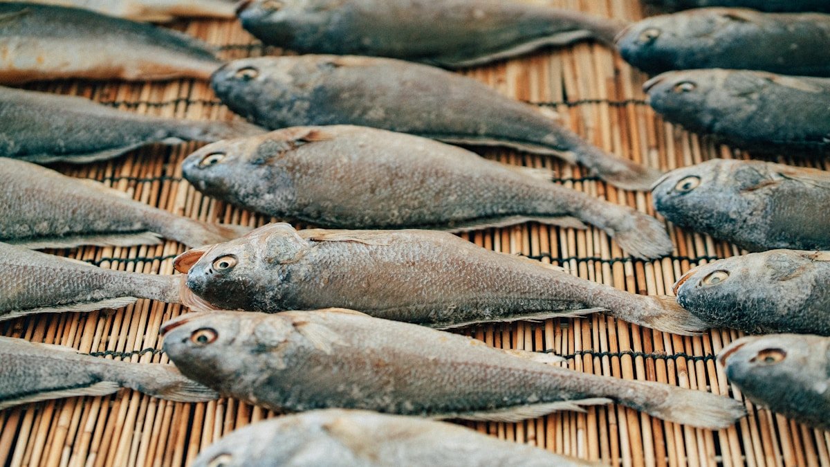 unknown aji shun guide h2 03