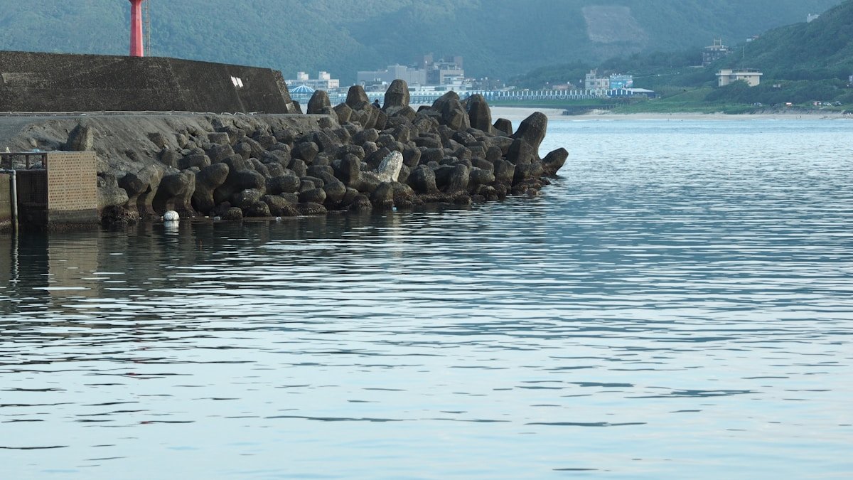 マイワシの旬はいつ?入梅いわしから産地・栄養・食べ方まで完全ガイド | 水産ナビ