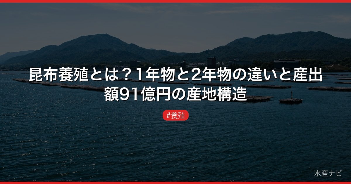 昆布養殖とは？1年物と2年物の違いと産出額91億円の産地構造
