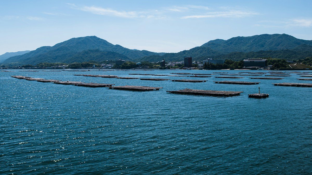 2026 09 23 zoyoshoku guide h2 02