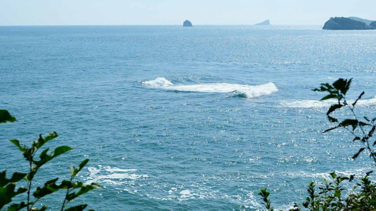 2026 09 24 japan coastal fishing decline causes h2 00