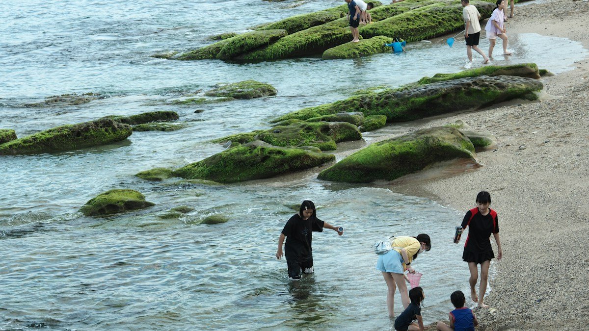 2026 09 24 japan coastal fishing decline causes h2 02