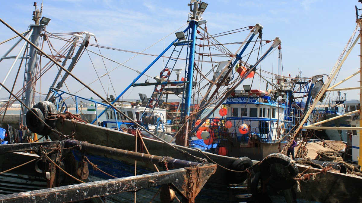 2026 09 28 fisherman yugyosen business guide h2 03