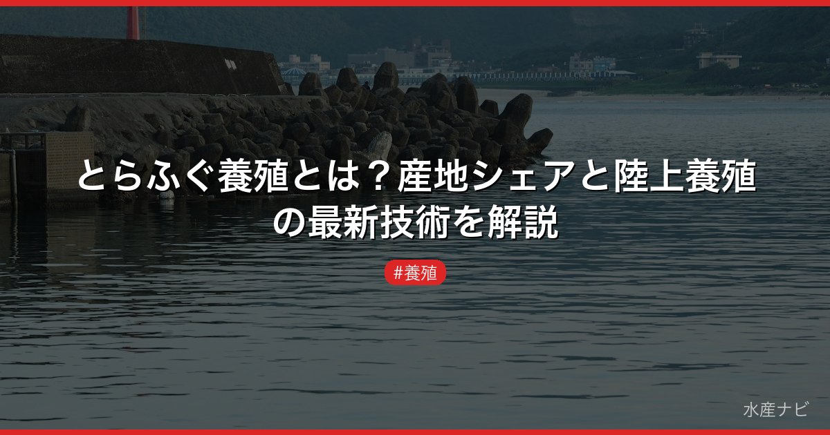 とらふぐ養殖とは？産地シェアと陸上養殖の最新技術を解説