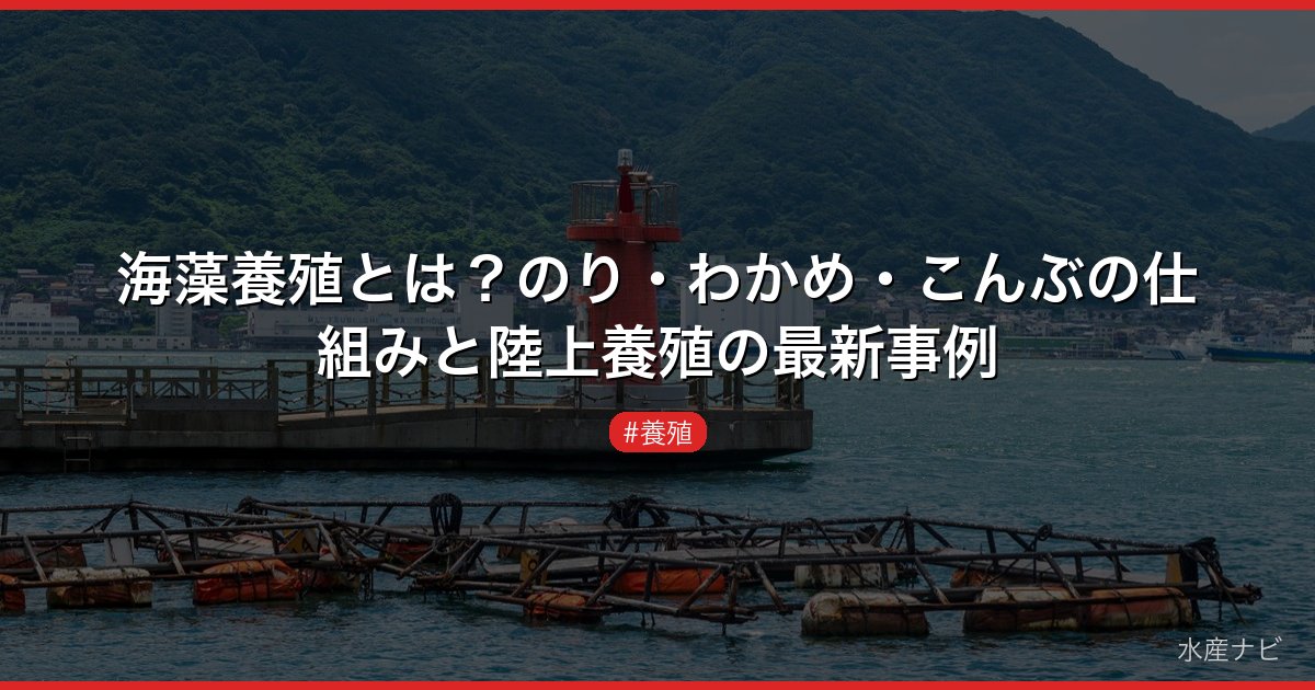 海藻養殖とは？のり・わかめ・こんぶの仕組みと陸上養殖の最新事例
