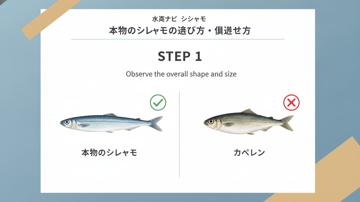 2026 10 11 shishamo shun guide h2 04