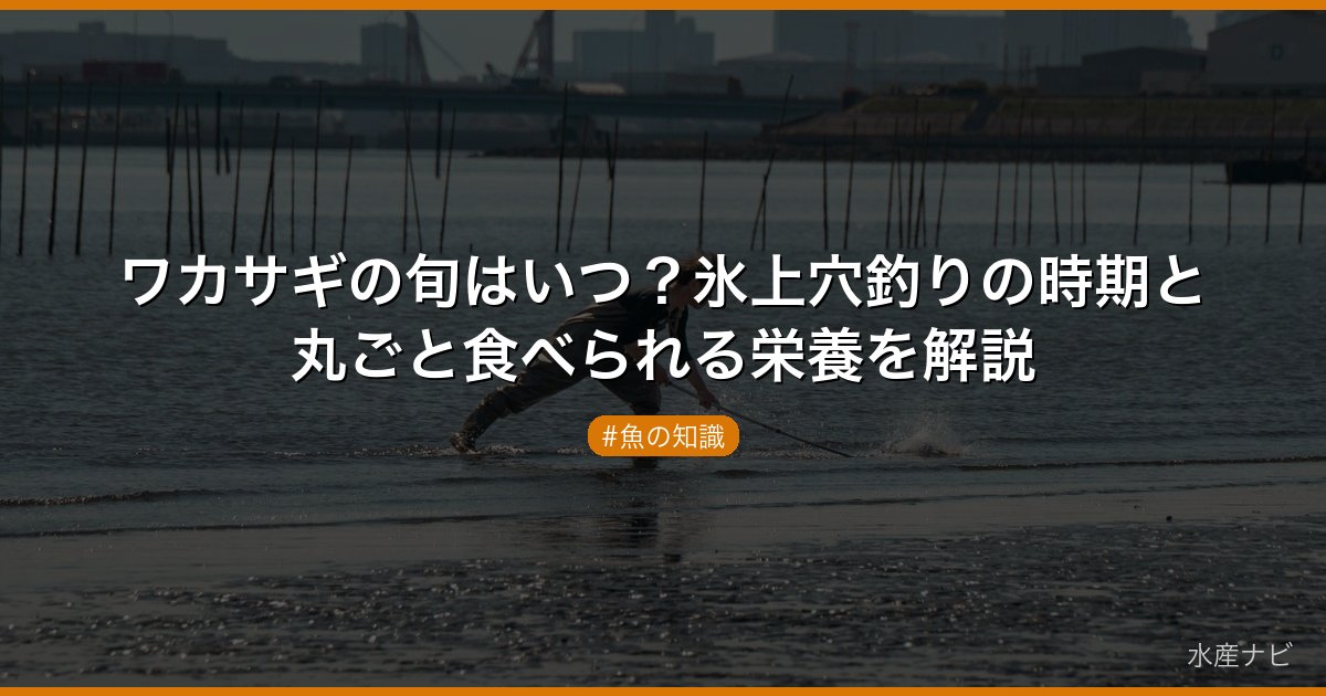 ワカサギの旬はいつ？氷上穴釣りの時期と丸ごと食べられる栄養を解説