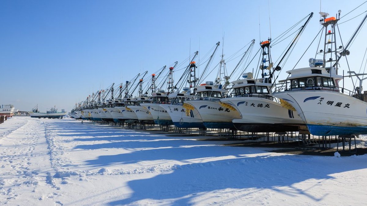 2026 10 22 otaru suisan koko guide h2 01