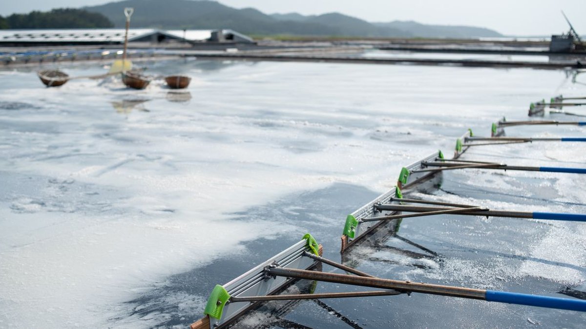 2026 10 27 saba land based aquaculture guide h2 01
