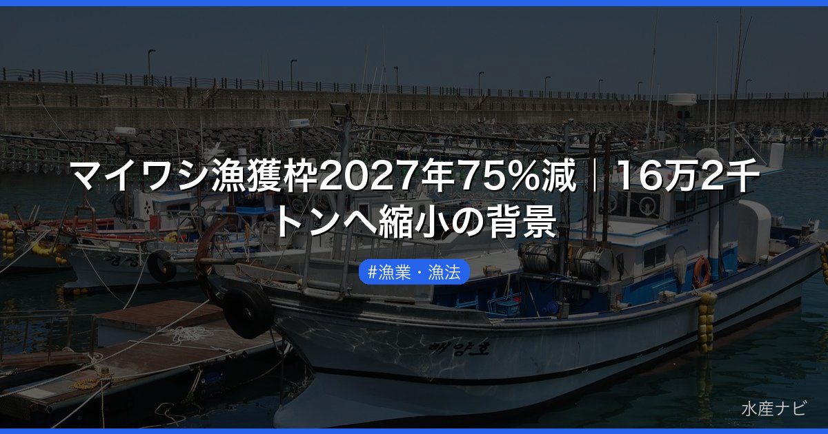 マイワシ漁獲枠2027年75%減｜16万2千トンへ縮小の背景
